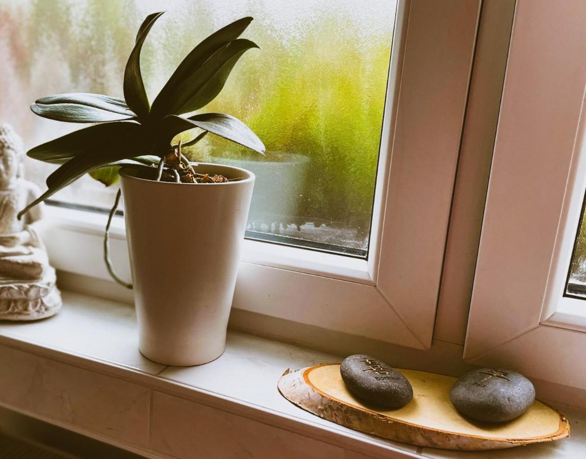 Modernes Appartement Im Gruenen - Stilvoll Und Komfortabel Köln Eksteriør bilde
